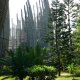34- Le centre culturel JM Djibaou dans les pins colonnaires 